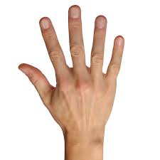Hand Image